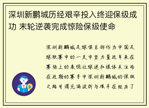 深圳新鹏城历经艰辛投入终迎保级成功 末轮逆袭完成惊险保级使命